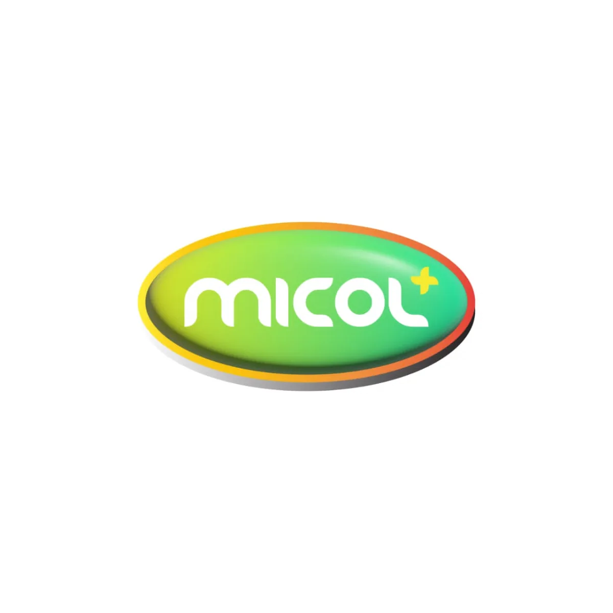 Micol store